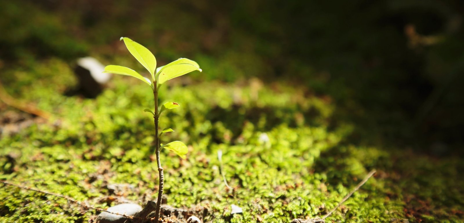 Environment & Climate Research