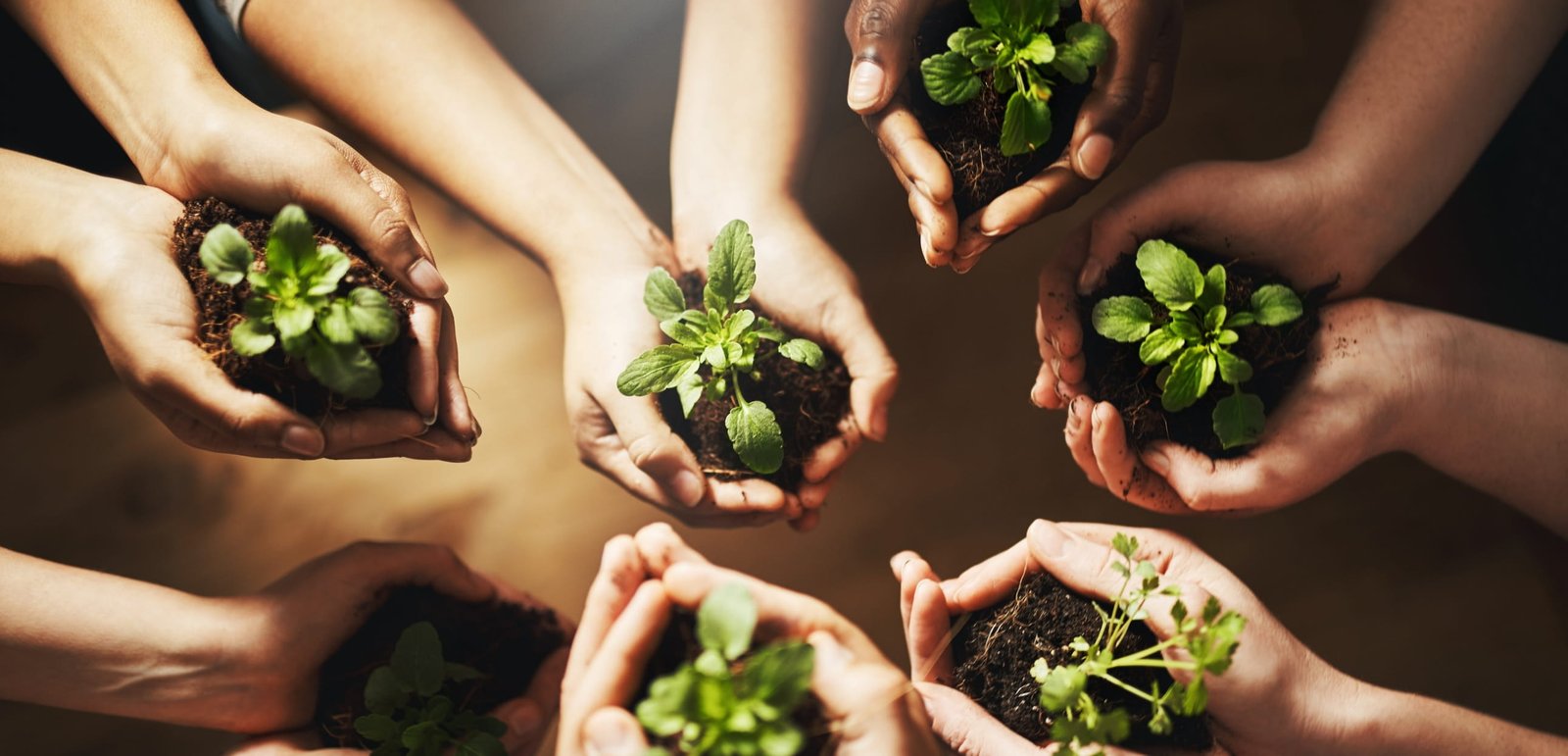 Sustainable Development & Environmental Programs