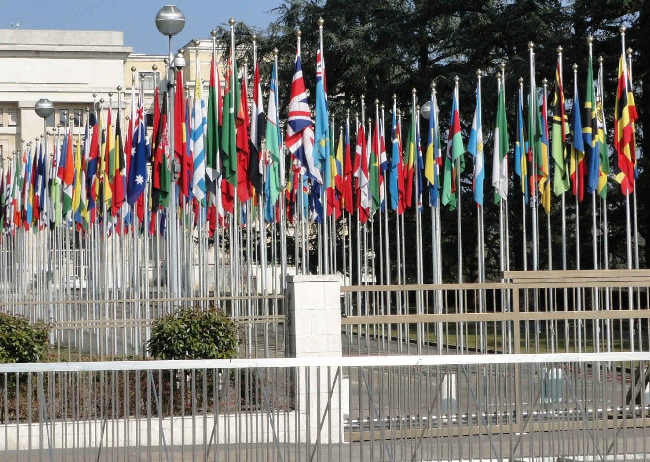Regional and Multilateral Institutions